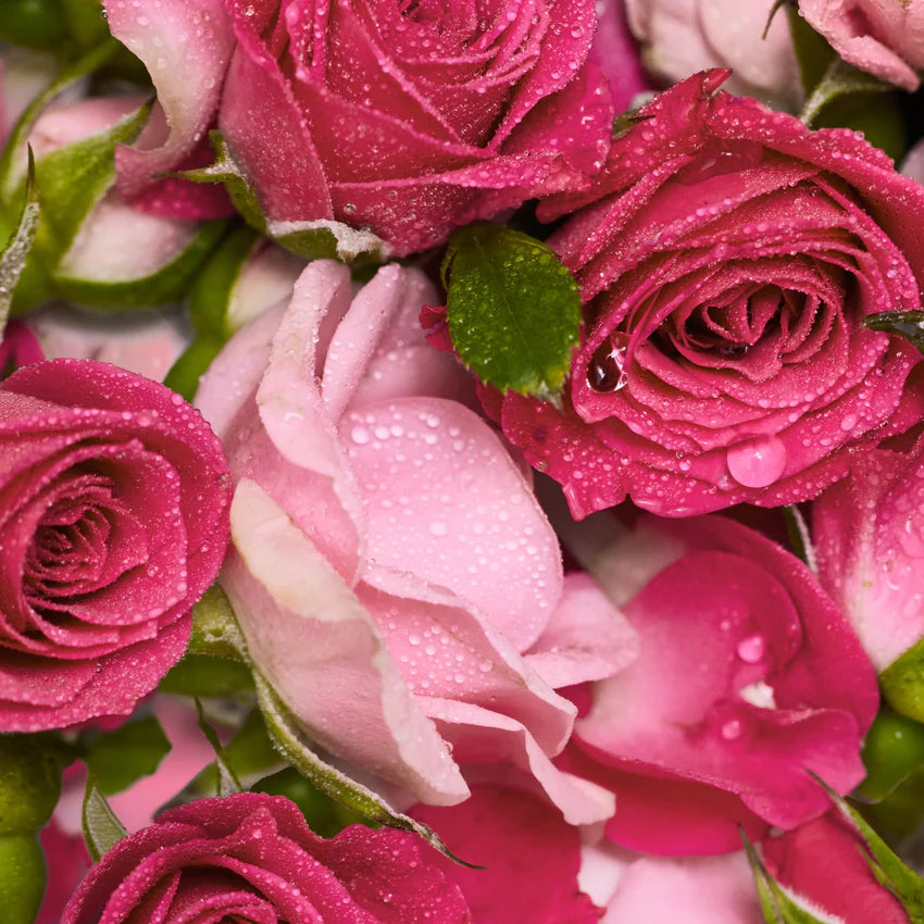 Rose - Pure-Castile Magic Bar Soap